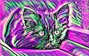 Colorful Resting Kitten Abstract Digital Art by Don Northup