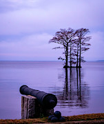 Edenton Waterfront Photograph by Marshall Hurley