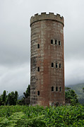 El Yunque - Yokahu Tower Photograph by Richard Reeve