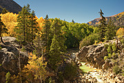Fall on Independence Pass Photograph by Kevin Schwalbe