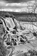 Falls Creek Falls Through The Brush Black And White Photograph by Adam Jewell