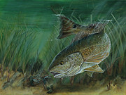 Food Fight Photograph by Mark Ray