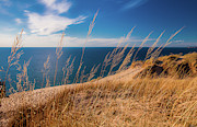 Golden Dune Grass On The Lake Photograph by Owen Weber