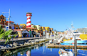 Harbor in Cabo San Lucas 2 Photograph by Dawn Richards