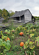 Harvest Time Photograph by Randall Dill