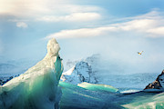 Ice Berg Photograph by Monamifoto