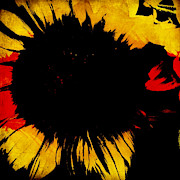 Interrupted Digital Art by Canessa Thomas