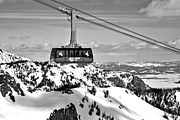 Jackson Hole Aerial Tram Over The Snow Caps Black And White Photograph by Adam Jewell