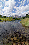 Jackson Hole -- The Snake River at Schwabacher Landing in Grand Teton National Park, Wyoming Photograph by Darin Volpe