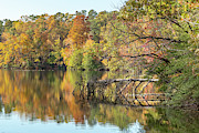 Lake Maury Reflection Photograph by Donna Twiford