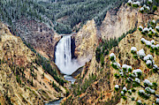 Lower Yellowstone Falls after the first snow Photograph by Bruce Block