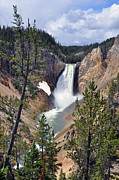 Lower Yellowstone Falls Photograph by Randall Dill