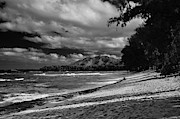 Maui Beach Shadows Photograph by Debra Banks