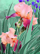 May Garden Digital Art by Gina Harrison