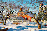 Morning Light, Winter Garden. Photograph by Jeff Sinon
