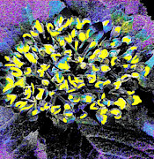 Morning Mist Digital Art by Rod Whyte