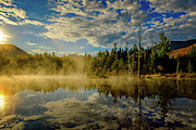 Morning Mist, Wildlife Pond Photograph by Jeff Sinon