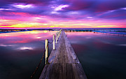 Narrabeen Walkway Photograph by Monamifoto