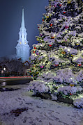 New Snow For Christmas Photograph by Jeff Sinon