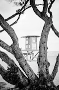 Newport Wedge Lifeguard Tower W Black and WHite Photo Photograph by Paul Velgos