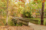 Noland Trail Bridge Photograph by Donna Twiford