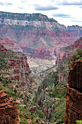 North Rim Colorado River Color Photograph by Douglas Wielfaert