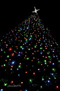 O Christmas Tree Photograph by Joann Copeland-Paul