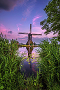 Old dutch windmill at sunset in Kinderdijk Photograph by Miroslav Liska