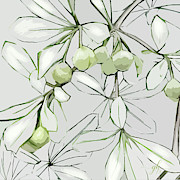 Patio Print Digital Art by Gina Harrison