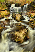 R B Ricketts Falls Portrait Photograph by Adam Jewell