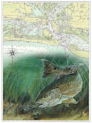 Red Drum and Blue Crab Painting by Mark Ray