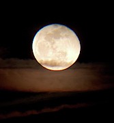 Rising Above the Clouds Photograph by Karen Stansberry