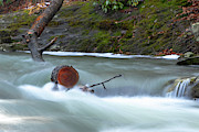 Raging Water Photograph by Rob Narwid