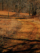 Sky Meadows State Park VA Section 4 Photograph by Raymond Salani III