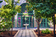 Small white fontaine among orange trees of Jardin Majorelle, Marrakech, Morocco Photograph by Miroslav Liska