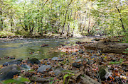 Smoky Mountin Stream Photograph by Joe Leone