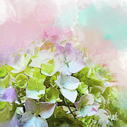 Sorbet Digital Art by Gina Harrison