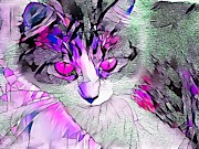 Stained Glass Cat Stare Pink Eyes Digital Art by Don Northup