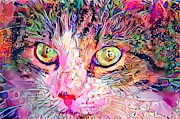 Stare Into My Cat Eyes Digital Art by Don Northup