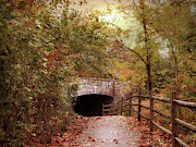 Stone Bridge Crossing Photograph by Jessica Jenney