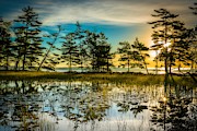 Sunburst On Lost Lake Photograph by Owen Weber
