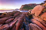 Tasmanian Burnt Orange Photograph by Monamifoto