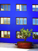 The Blue Courtyard Photograph by Rick Locke - Out of the Corner of My Eye