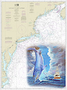 Mako #1 Painting by Mark Ray