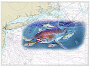 Thresher Shark Chart Painting by Mark Ray