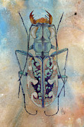 Tiger Beetle Painting by Marie Stone-van Vuuren