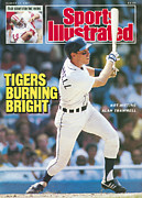 Tigers Burning Bright Sports Illustrated Cover Photograph by Sports Illustrated