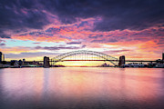 Violet Sydney Skies Photograph by Monamifoto