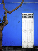 When a Tree Comes Knocking Photograph by Rick Locke - Out of the Corner of My Eye