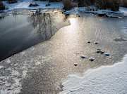 Winter Landscape at Whitesbog Photograph by Louis Dallara